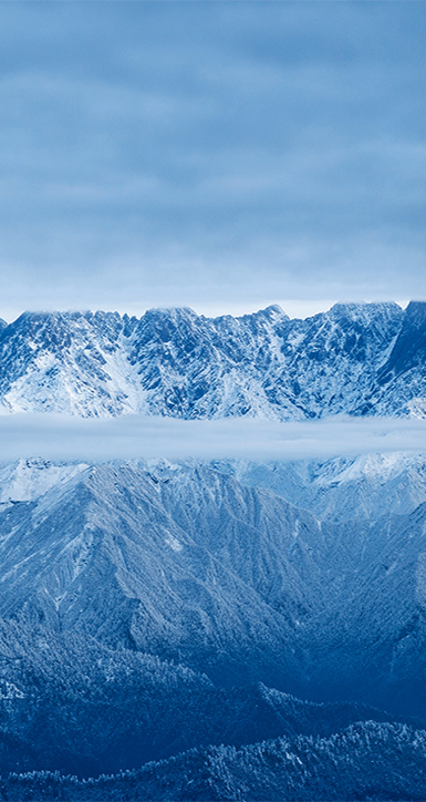 关于尊时凯龙人生就博